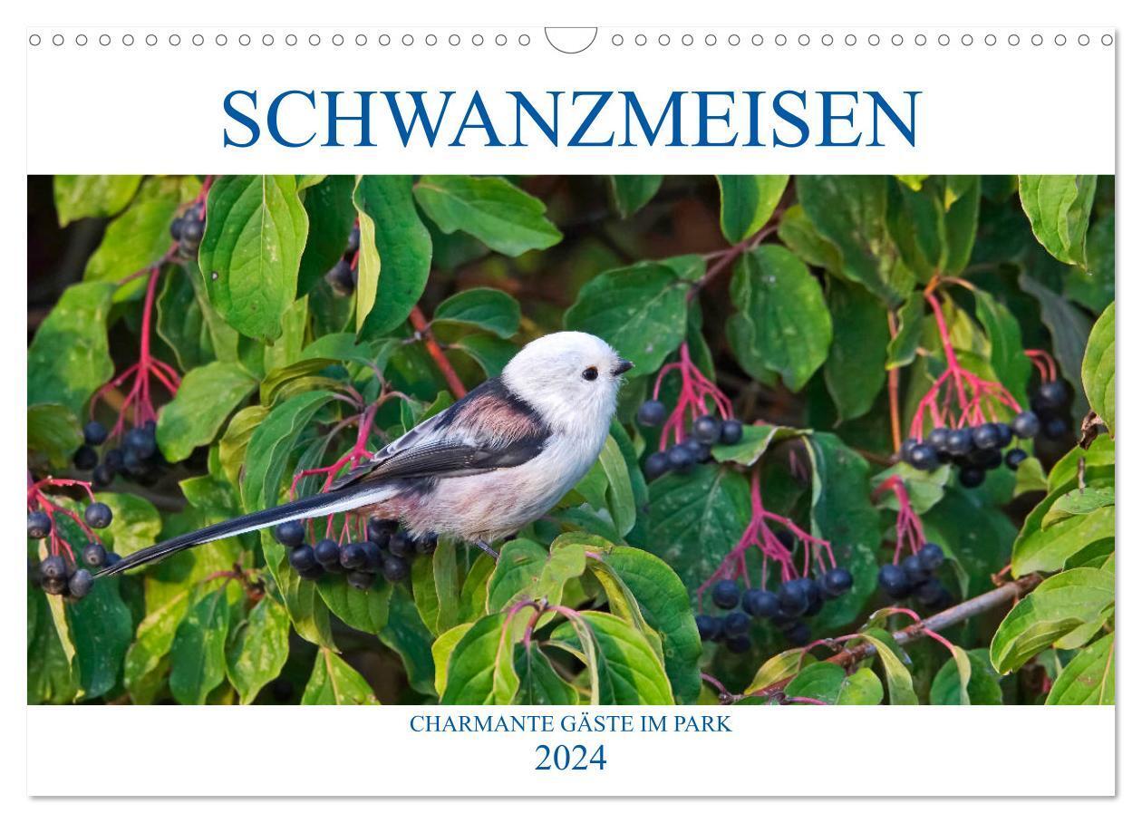Cover: 9783383060892 | Schwanzmeisen (Wandkalender 2024 DIN A3 quer), CALVENDO Monatskalender