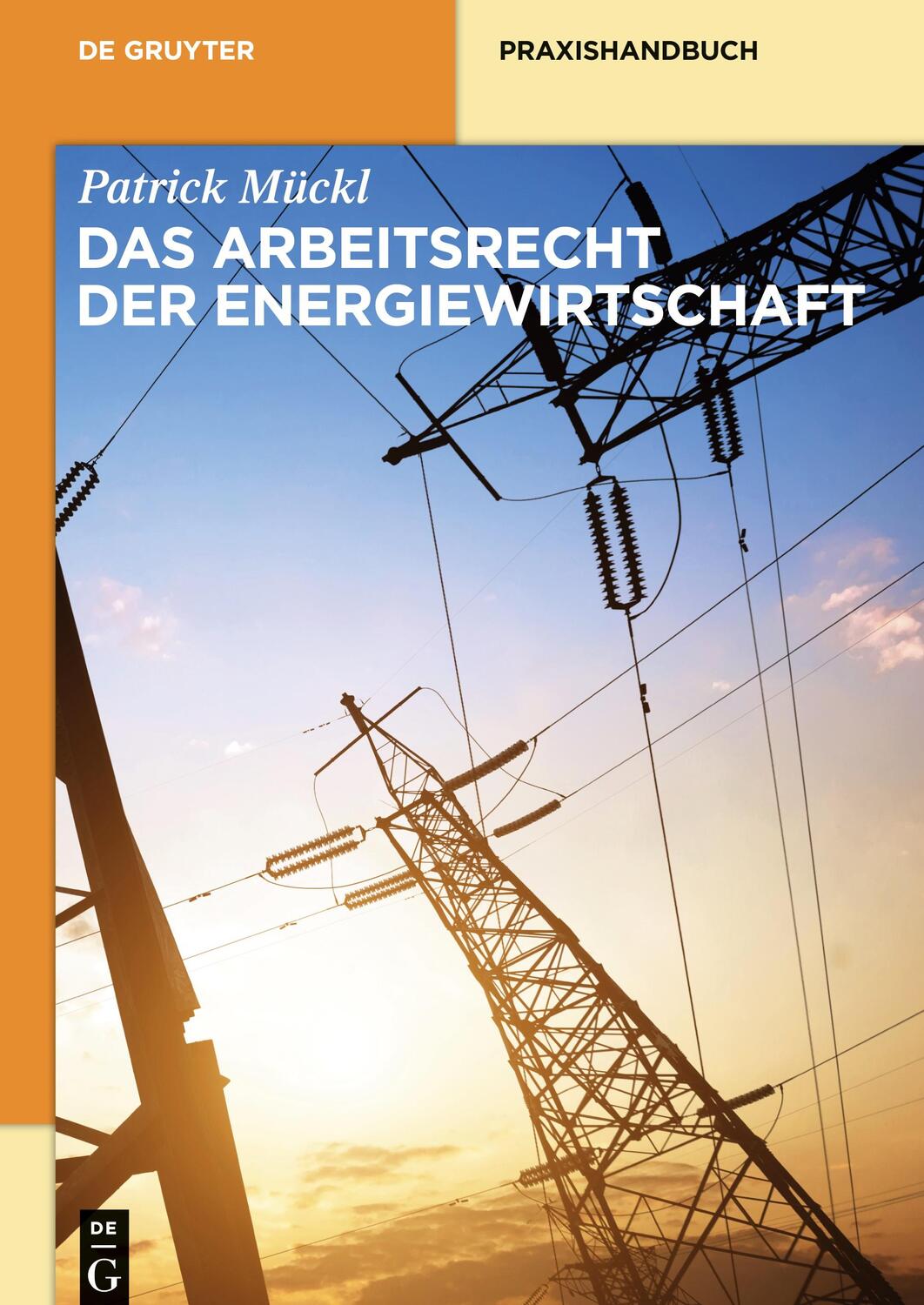 Cover: 9783110334487 | Das Arbeitsrecht der Energiewirtschaft | Patrick Mückl | Buch | XL