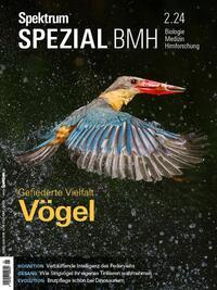 Cover: 9783958928527 | Spektrum Spezial BMH 2/2024 - Vögel | Gefiederte Vielfalt | Buch