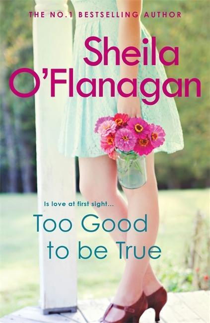 Cover: 9780755329946 | Too Good To Be True | A feel-good read of romance and adventure | Buch