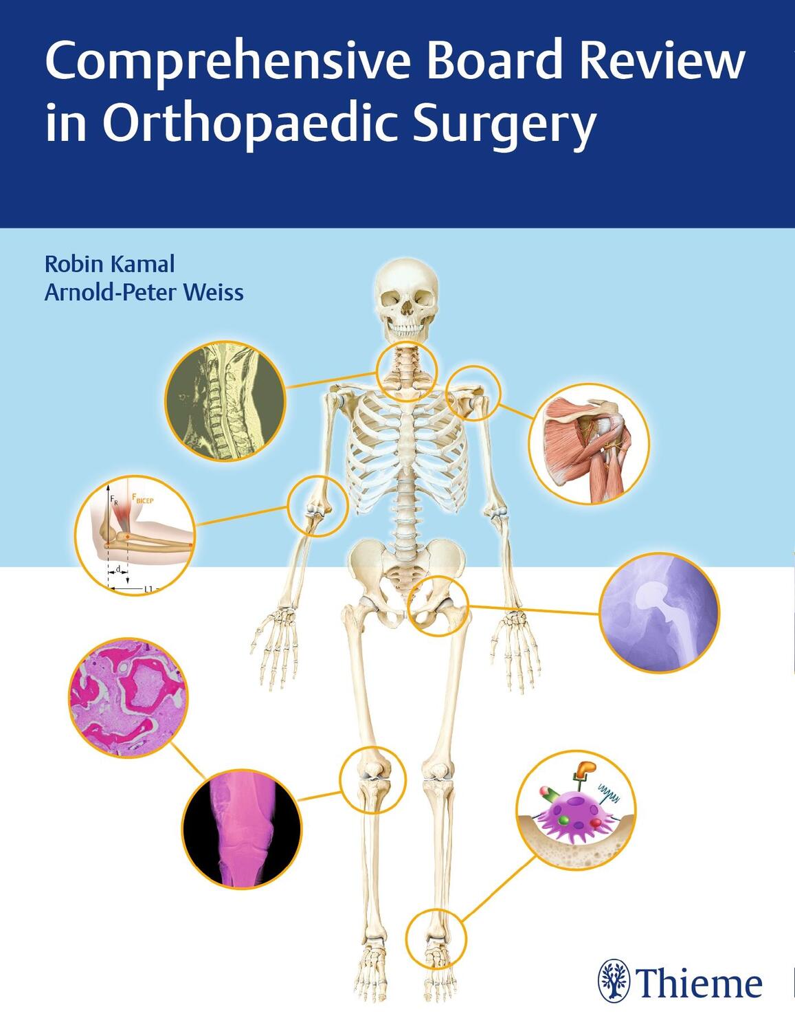 Cover: 9781604069044 | Comprehensive Board Review in Orthopaedic Surgery | Kamal (u. a.) | X