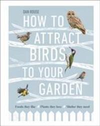 Cover: 9780241439449 | How to Attract Birds to Your Garden | Dan Rouse | Buch | Englisch