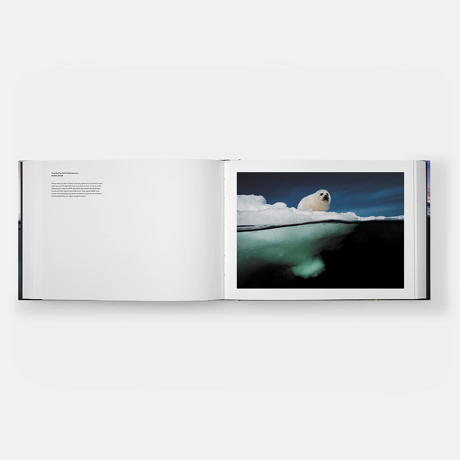 Bild: 9781838663186 | Two Worlds | Above and Below the Sea | David Doubilet | Buch | 128 S.