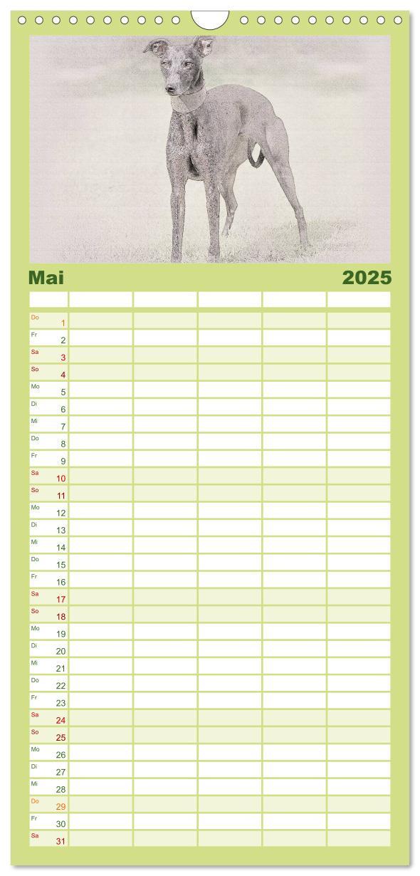 Bild: 9783457121146 | Familienplaner 2025 - Whippet 2025 mit 5 Spalten (Wandkalender, 21...