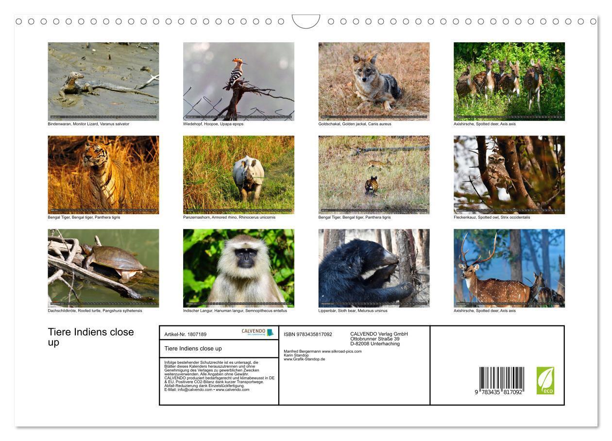 Bild: 9783435817092 | Tiere Indiens close up (Wandkalender 2025 DIN A3 quer), CALVENDO...