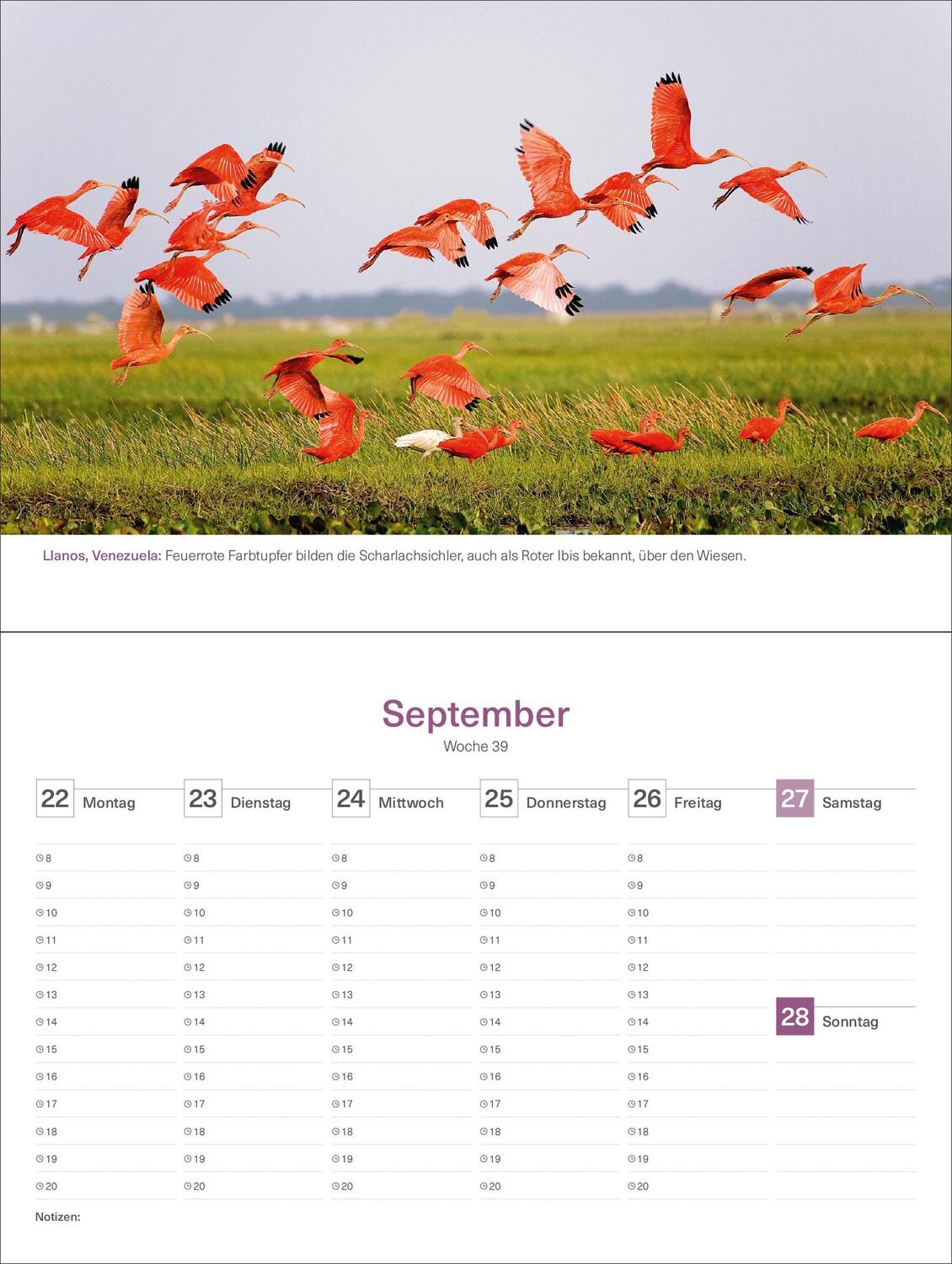 Bild: 9783965913691 | Farben der Erde - KUNTH Tischkalender 2025 | Kalender | 54 S. | 2025