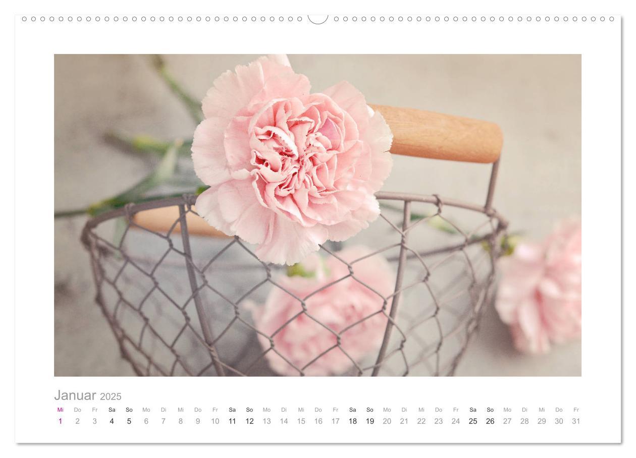 Bild: 9783435458035 | Blumen zart und schön (Wandkalender 2025 DIN A2 quer), CALVENDO...