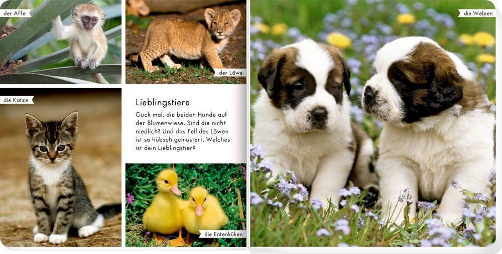 Bild: 9783649641452 | Meine liebsten Tierbabys | Buch | 28 S. | Deutsch | 2022 | Coppenrath