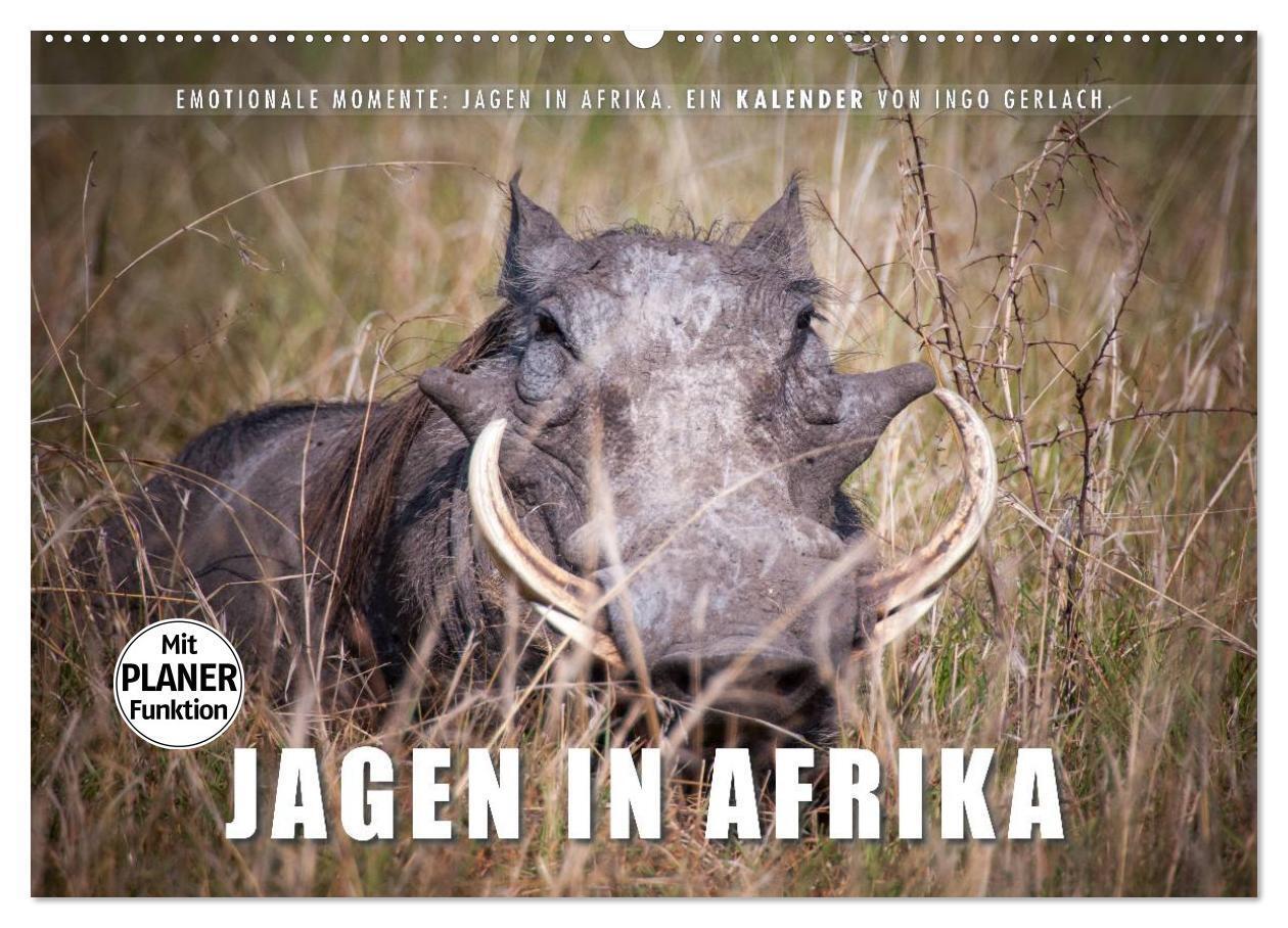 Cover: 9783383328237 | Emotionale Momente: Jagen in Afrika. (Wandkalender 2024 DIN A2...
