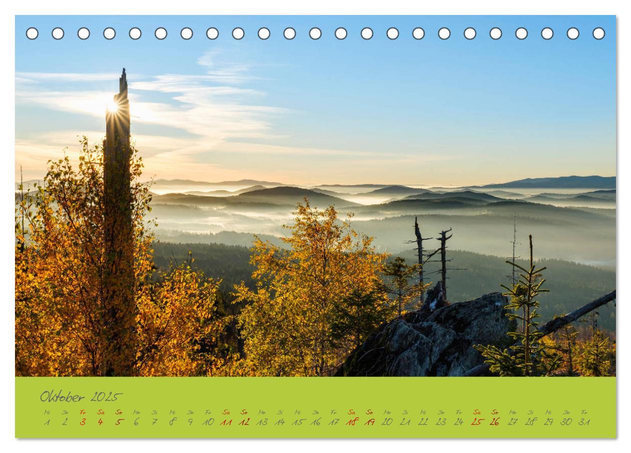 Bild: 9783435192946 | Der Bayerische Wald (Tischkalender 2025 DIN A5 quer), CALVENDO...