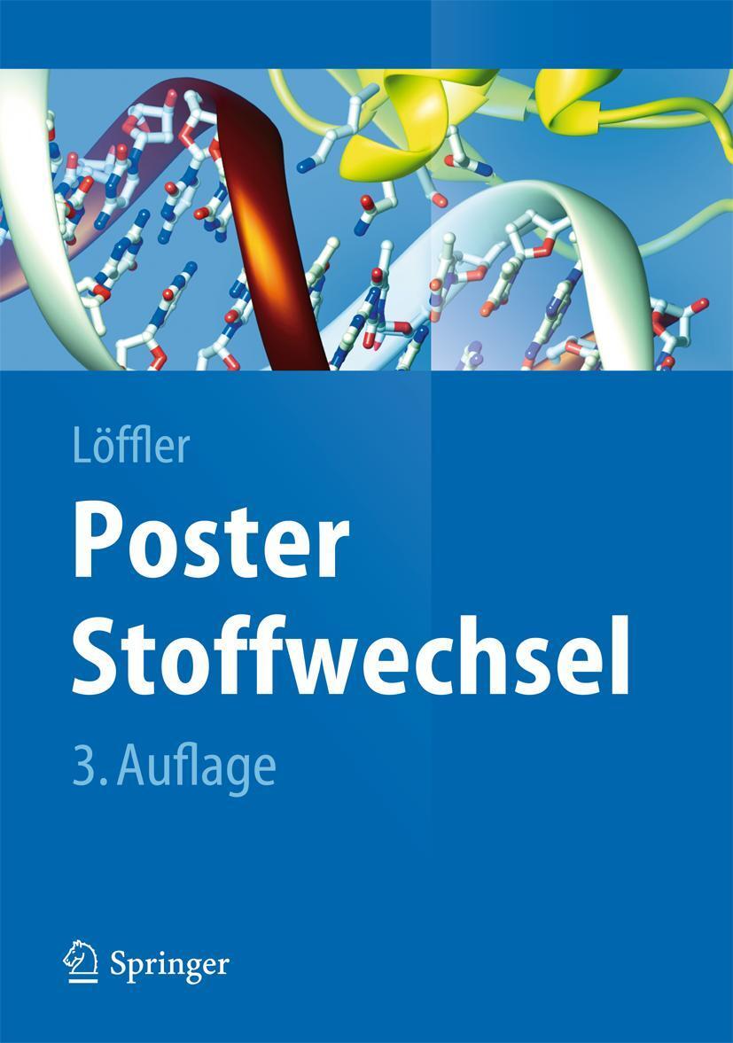 Cover: 9783540325598 | Poster Stoffwechsel | Georg Löffler | Poster | Springer-Lehrbuch
