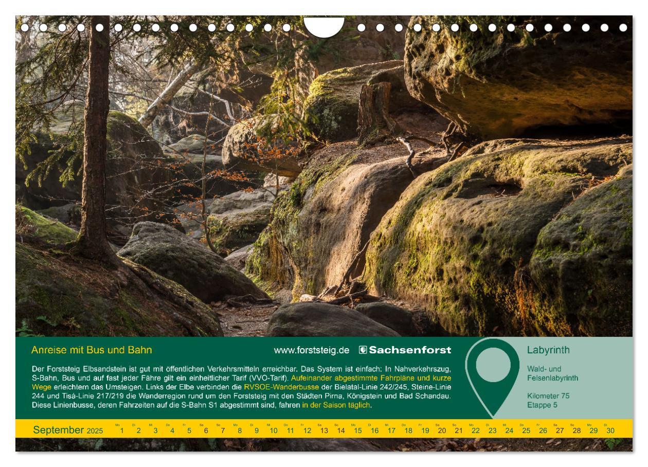 Bild: 9783383919145 | Erlebnis Forststeig Elbsandstein (Wandkalender 2025 DIN A4 quer),...