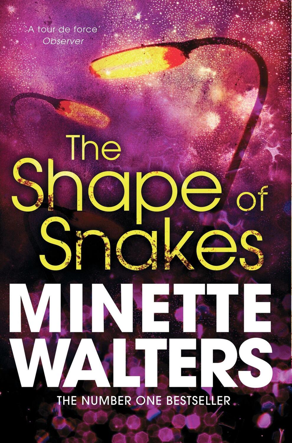 Cover: 9781447207986 | The Shape of Snakes | Minette Walters | Taschenbuch | Englisch | 2012