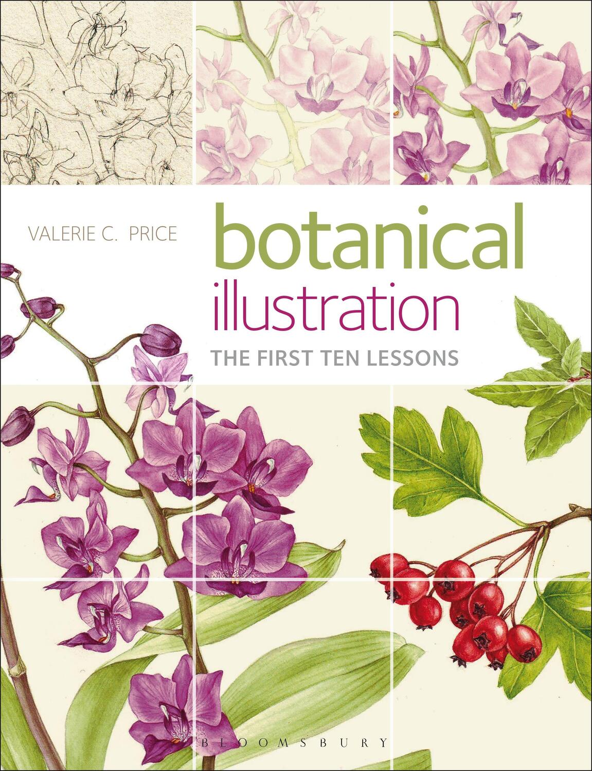 Cover: 9781912217151 | Botanical Illustration | The First Ten Lessons | Valerie Price | Buch