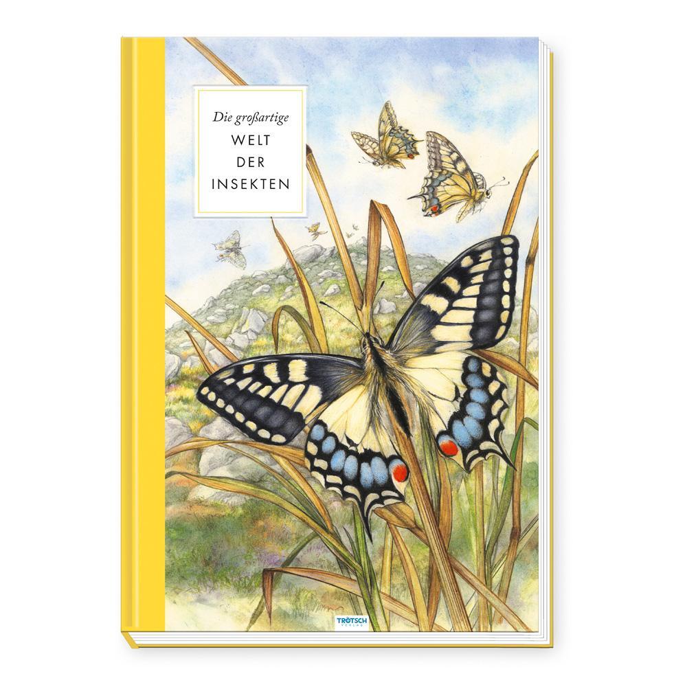 Cover: 9783988020857 | Trötsch Sachbuch Die großartige Welt der Insekten | Trötsch Verlag