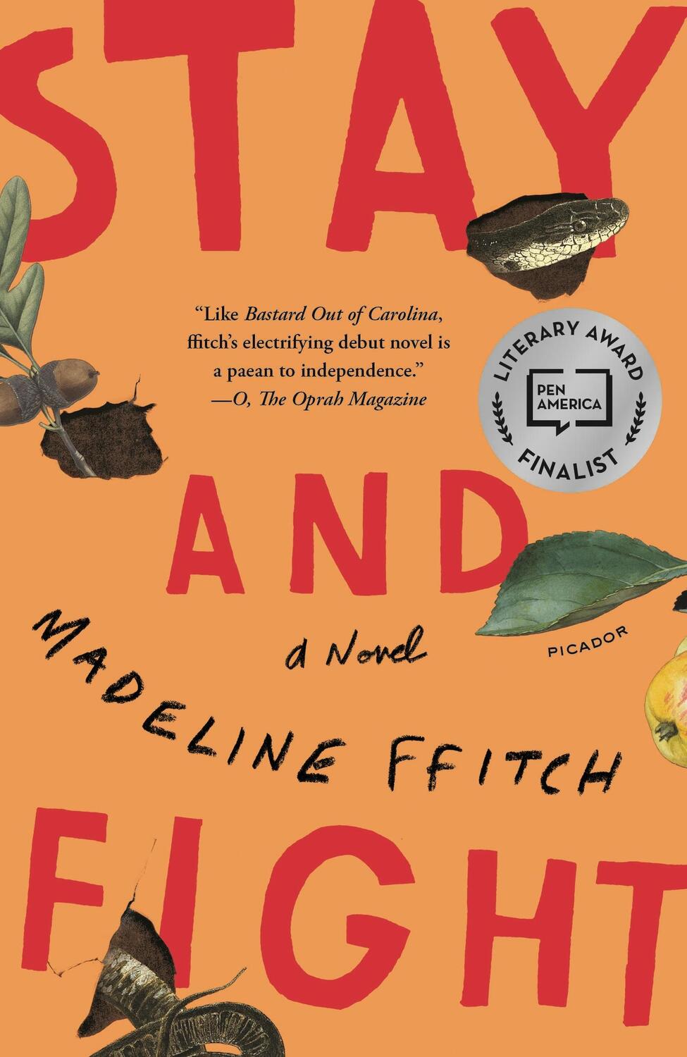 Cover: 9781250619556 | Stay and Fight | Madeline Ffitch | Taschenbuch | Englisch | 2020