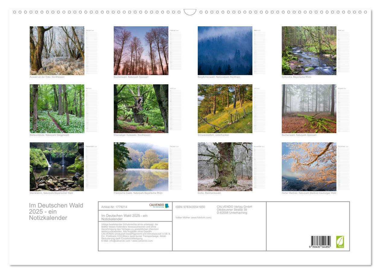 Bild: 9783435541850 | Im Deutschen Wald 2025 - ein Notizkalender (Wandkalender 2025 DIN...