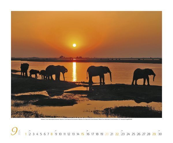 Bild: 9783731868521 | Faszination Afrika 2024 | Korsch Verlag | Kalender | Spiralbindung