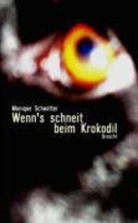 Cover: 9783854206941 | Wenn's schneit beim Krokodil | Erzählungen | Monique Schwitter | Buch