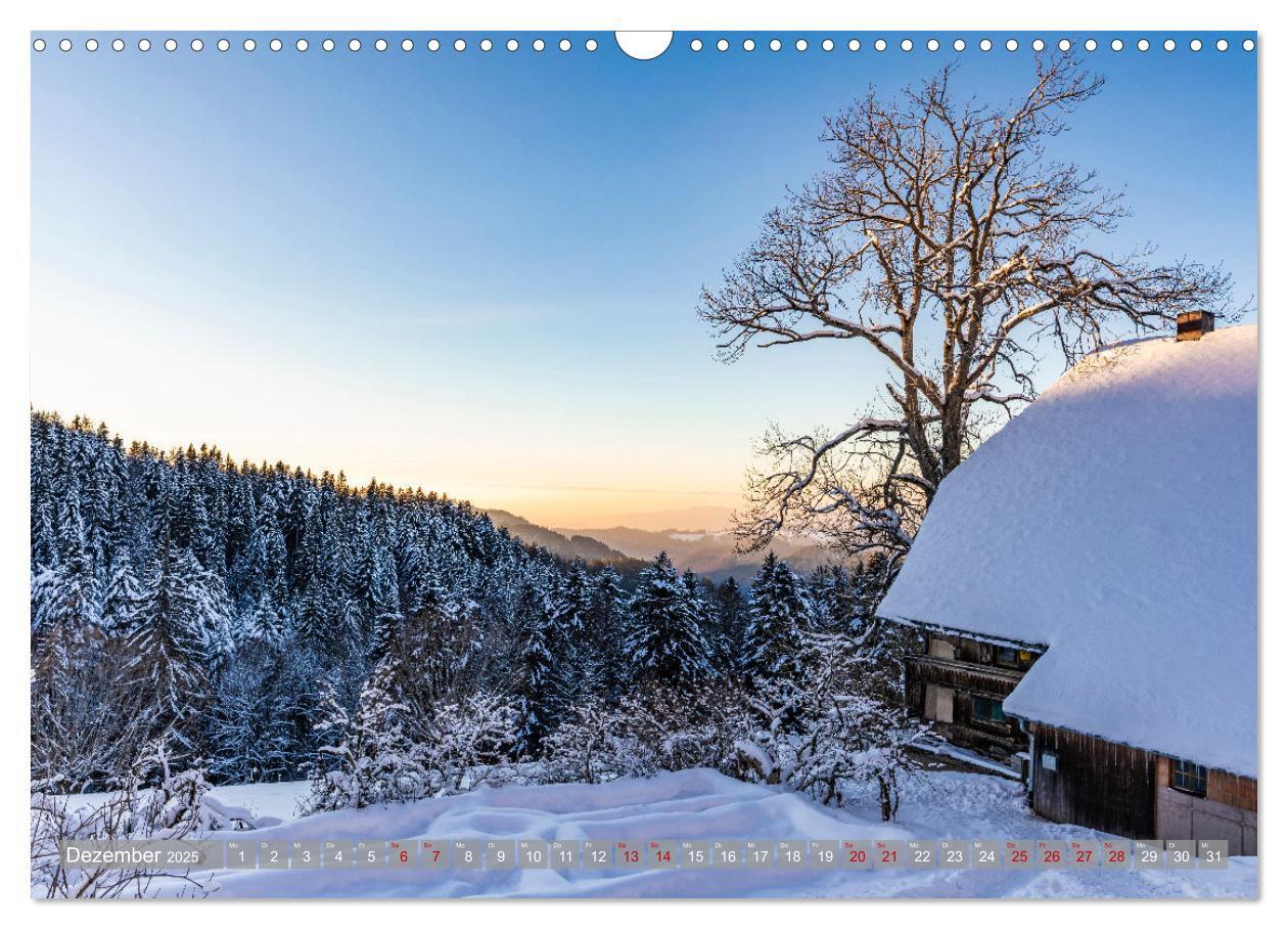 Bild: 9783435076758 | Ein Jahr im Schwarzwald (Wandkalender 2025 DIN A3 quer), CALVENDO...