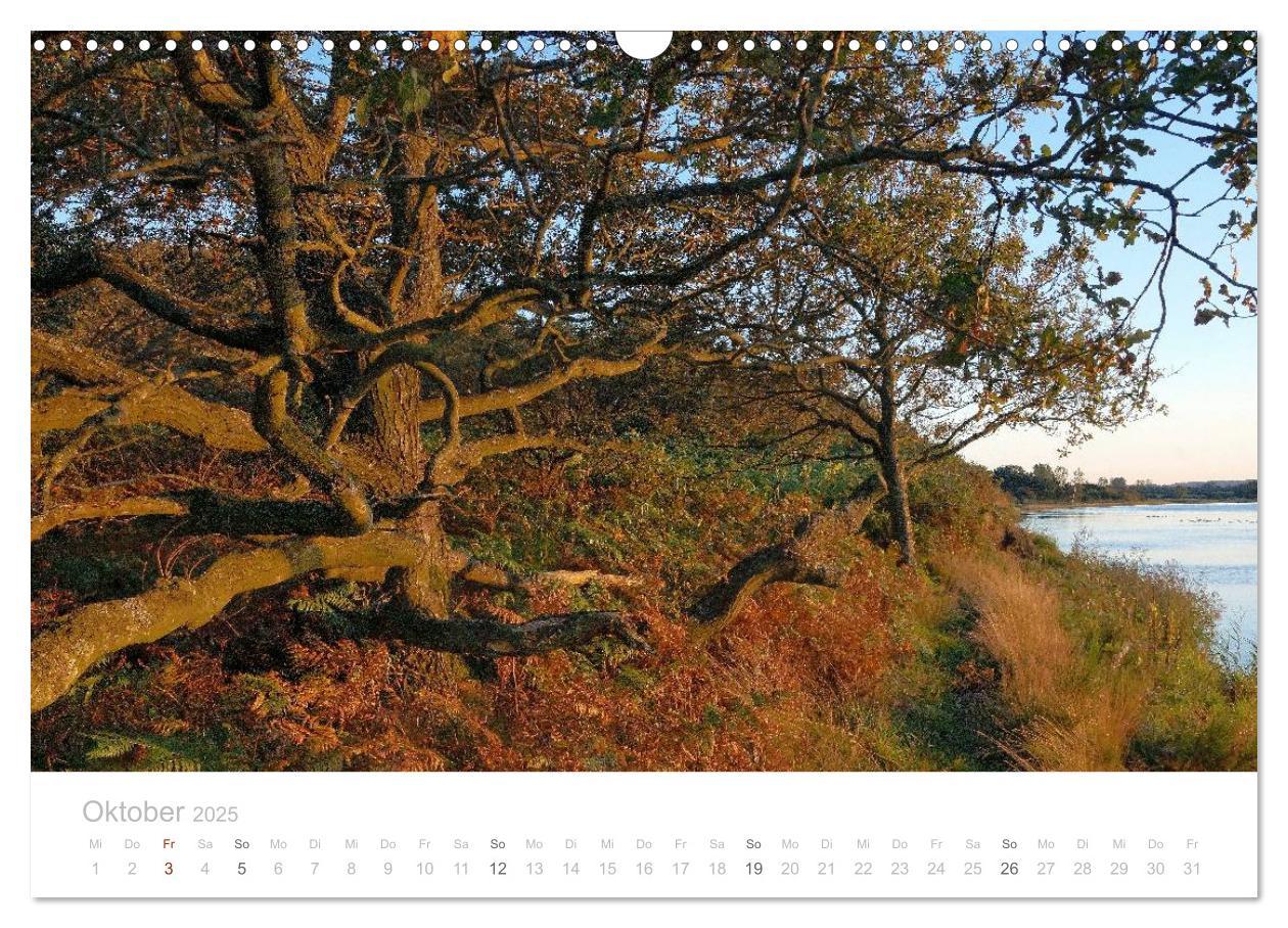 Bild: 9783435629251 | Zauberhafte Schlei (Wandkalender 2025 DIN A3 quer), CALVENDO...