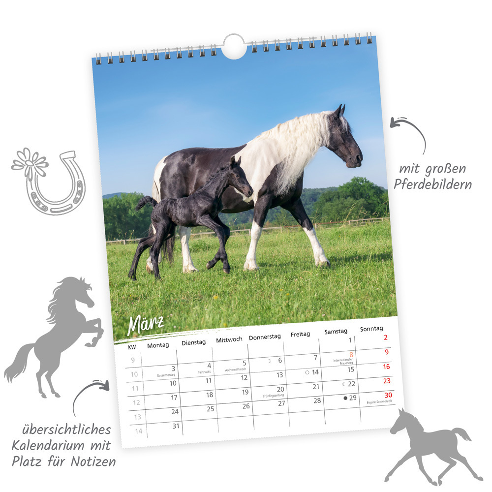 Bild: 9783988022059 | Trötsch Classickalender Pferde 2025 | Wandkalender | &amp;amp (u. a.)