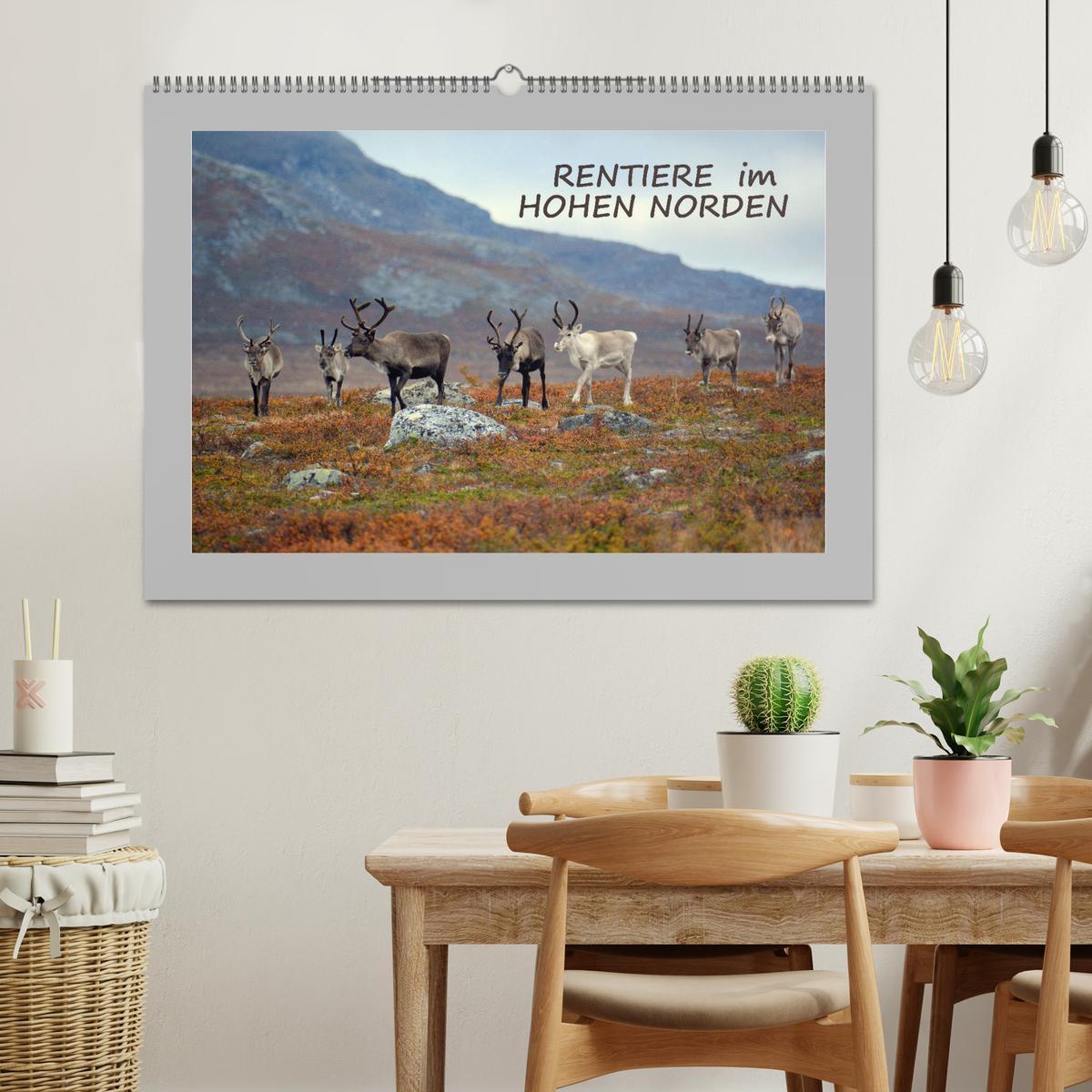 Bild: 9783435277766 | Rentiere im Hohen Norden (Wandkalender 2025 DIN A2 quer), CALVENDO...