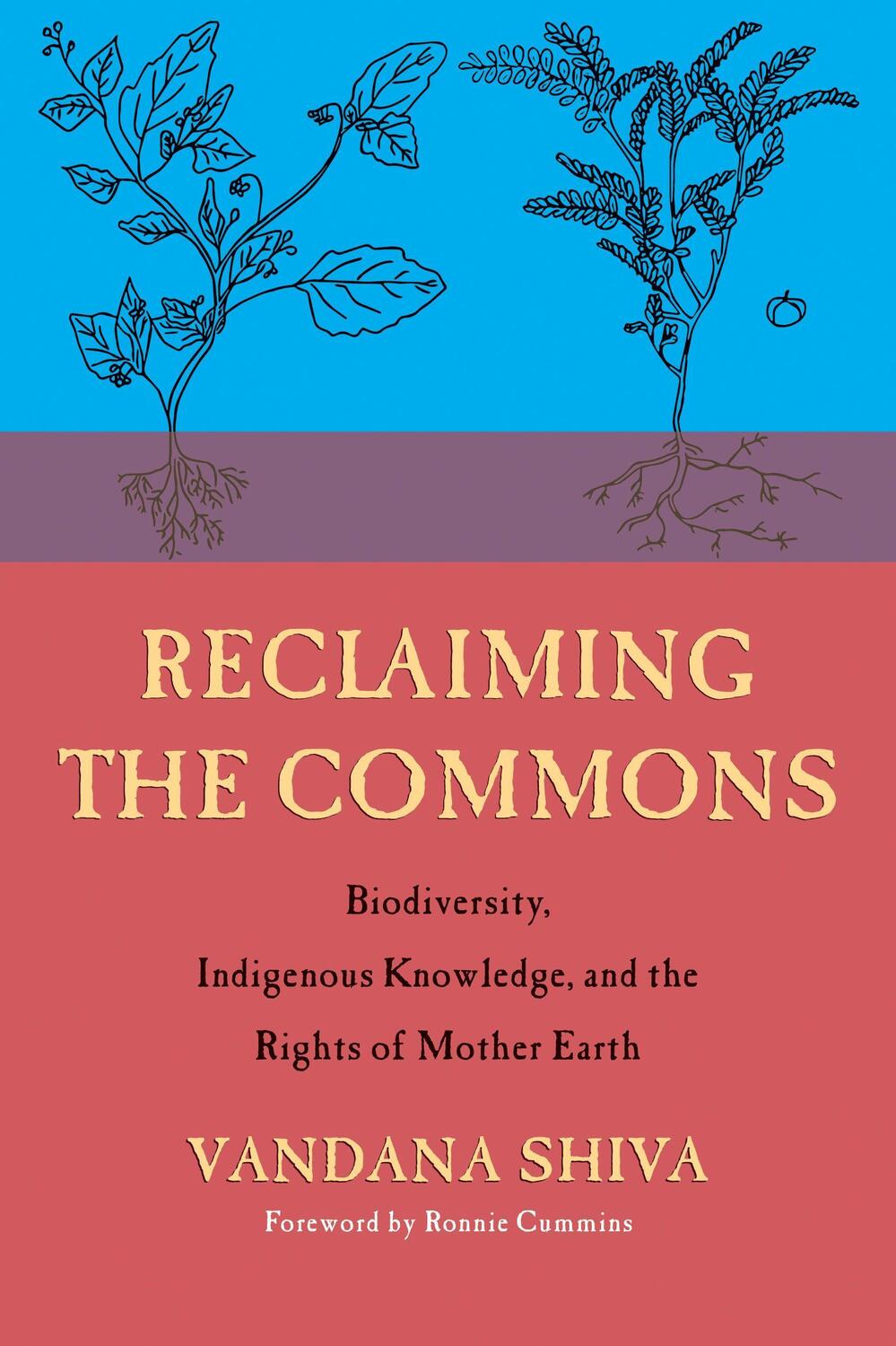Cover: 9780907791782 | Reclaiming the Commons: Biodiversity, Traditional Knowledge, and...