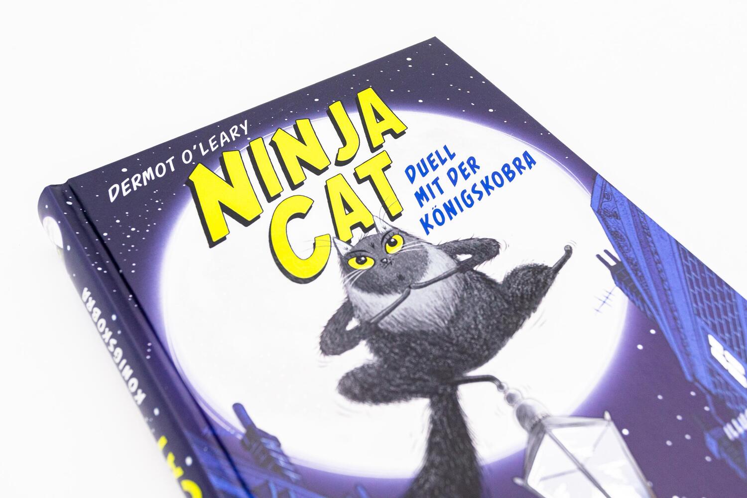 Bild: 9783743214156 | Ninja Cat (Band 1) - Duell mit der Königskobra | Dermot O'Leary | Buch