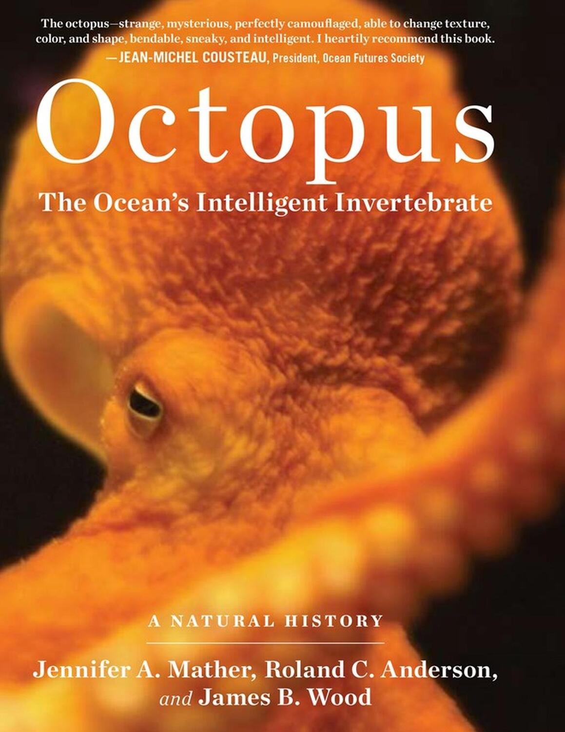Cover: 9781604690675 | Octopus | The Ocean's Intelligent Invertebrate | James B. Wood (u. a.)
