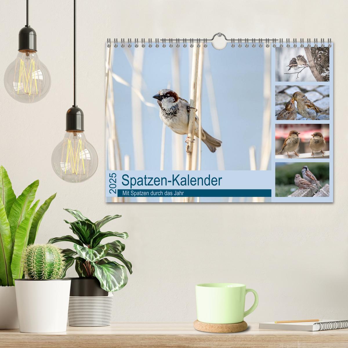 Bild: 9783435789399 | Spatzen-Kalender (Wandkalender 2025 DIN A4 quer), CALVENDO...