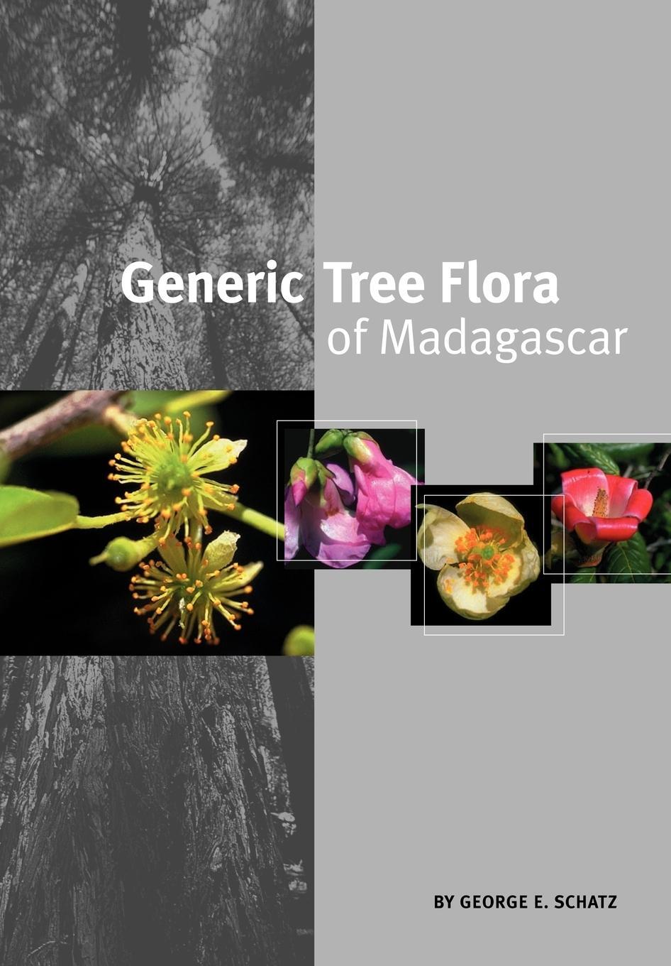 Cover: 9781900347822 | Generic Tree Flora of Madagascar (English) | George E Schatz | Buch