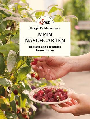 Cover: 9783710403385 | Das große kleine Buch: Mein Naschgarten | Veronika Schubert | Buch