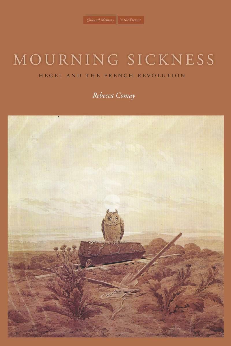 Cover: 9780804761277 | Mourning Sickness | Hegel and the French Revolution | Rebecca Comay