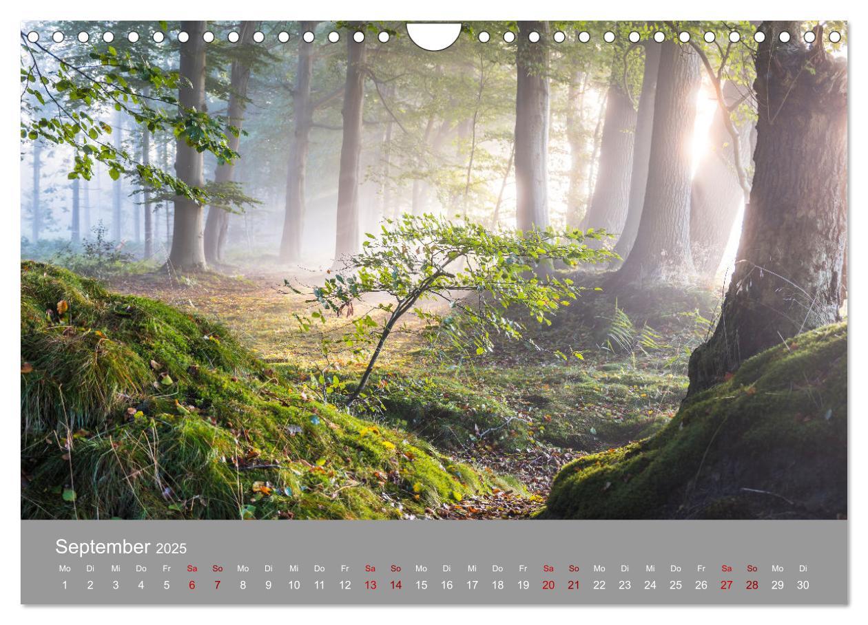 Bild: 9783435019427 | Ostfrieslandmomente 2025 (Wandkalender 2025 DIN A4 quer), CALVENDO...