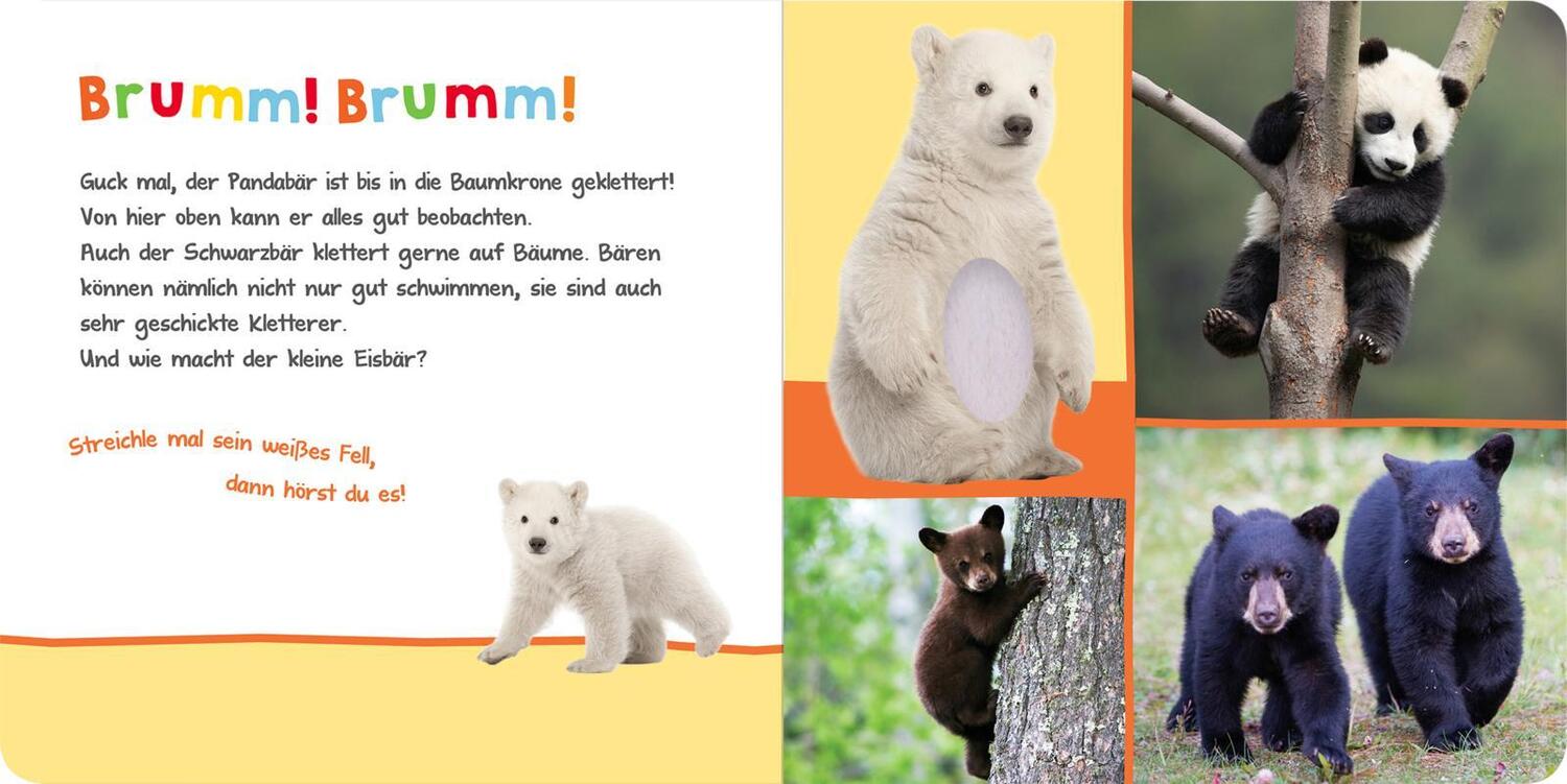 Bild: 9783845840673 | Hör mal rein, wer kann das sein? - Kuschelige Tiere | Buch | 12 S.