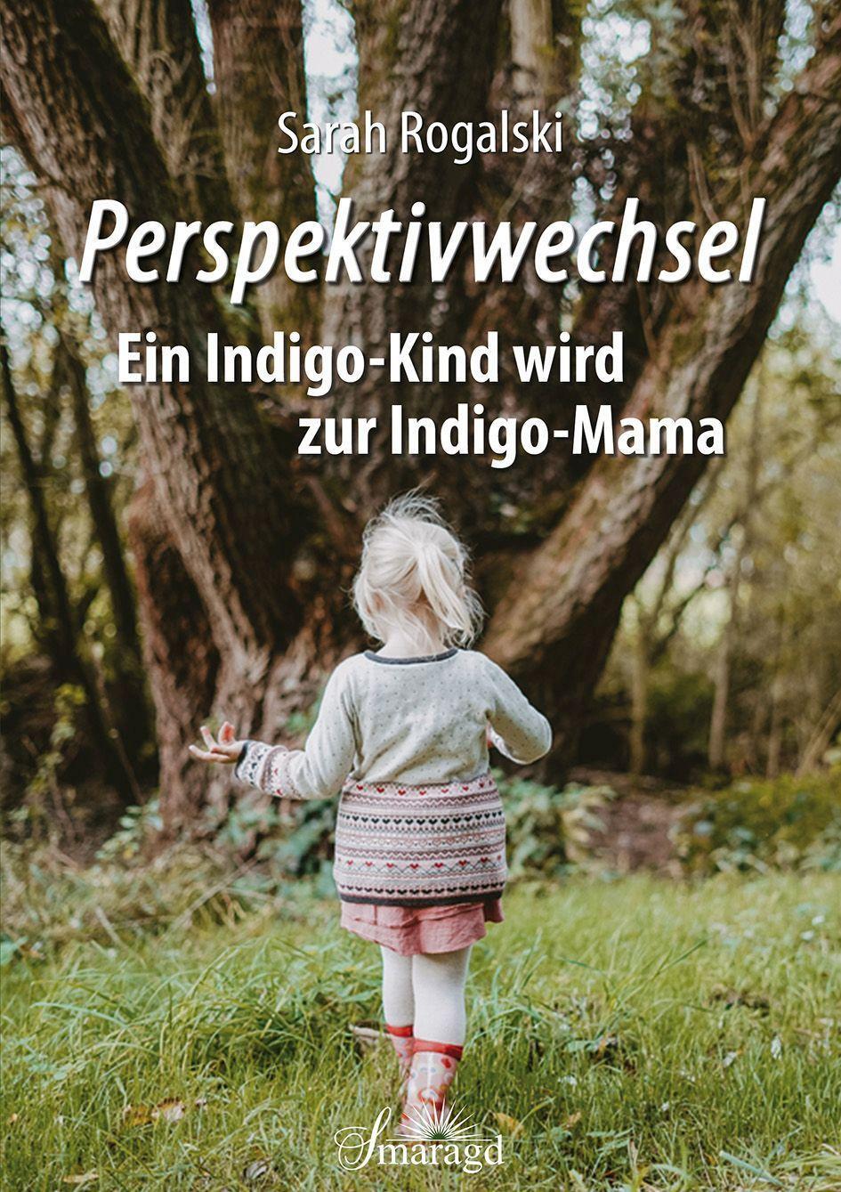 Cover: 9783955311971 | Perspektivwechsel | Ein Indigo-Kind wird zur Indigo-Mama | Rogalski