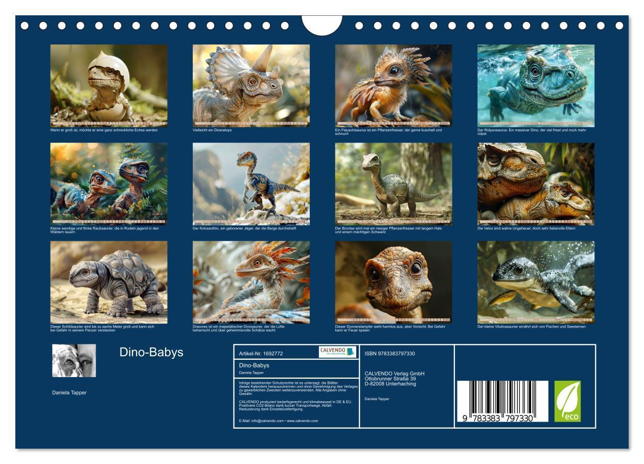 Bild: 9783383797330 | Dino-Babys (Wandkalender 2025 DIN A4 quer), CALVENDO Monatskalender