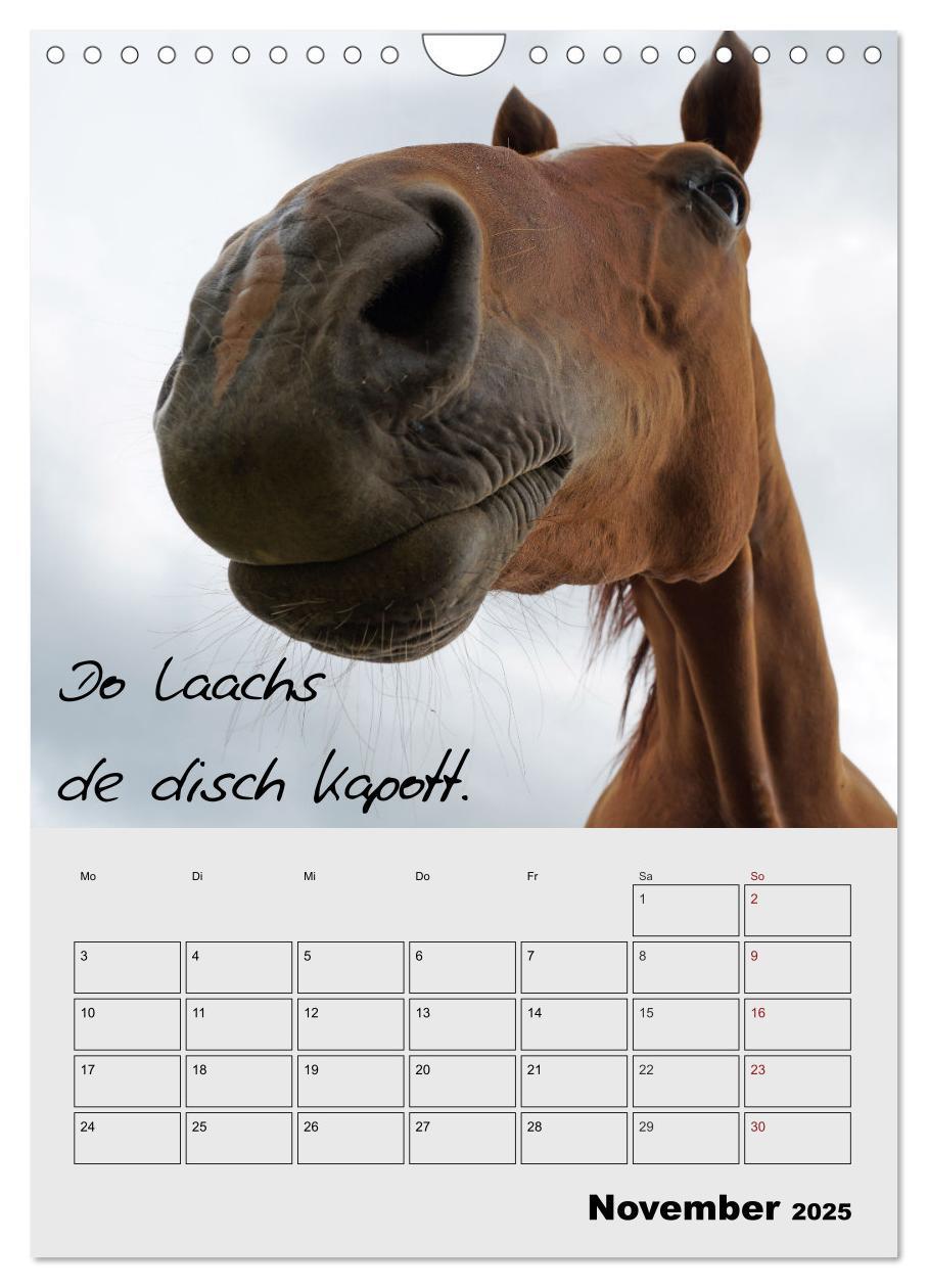 Bild: 9783457088098 | Kölsches Grundgesetz (Wandkalender 2025 DIN A4 hoch), CALVENDO...