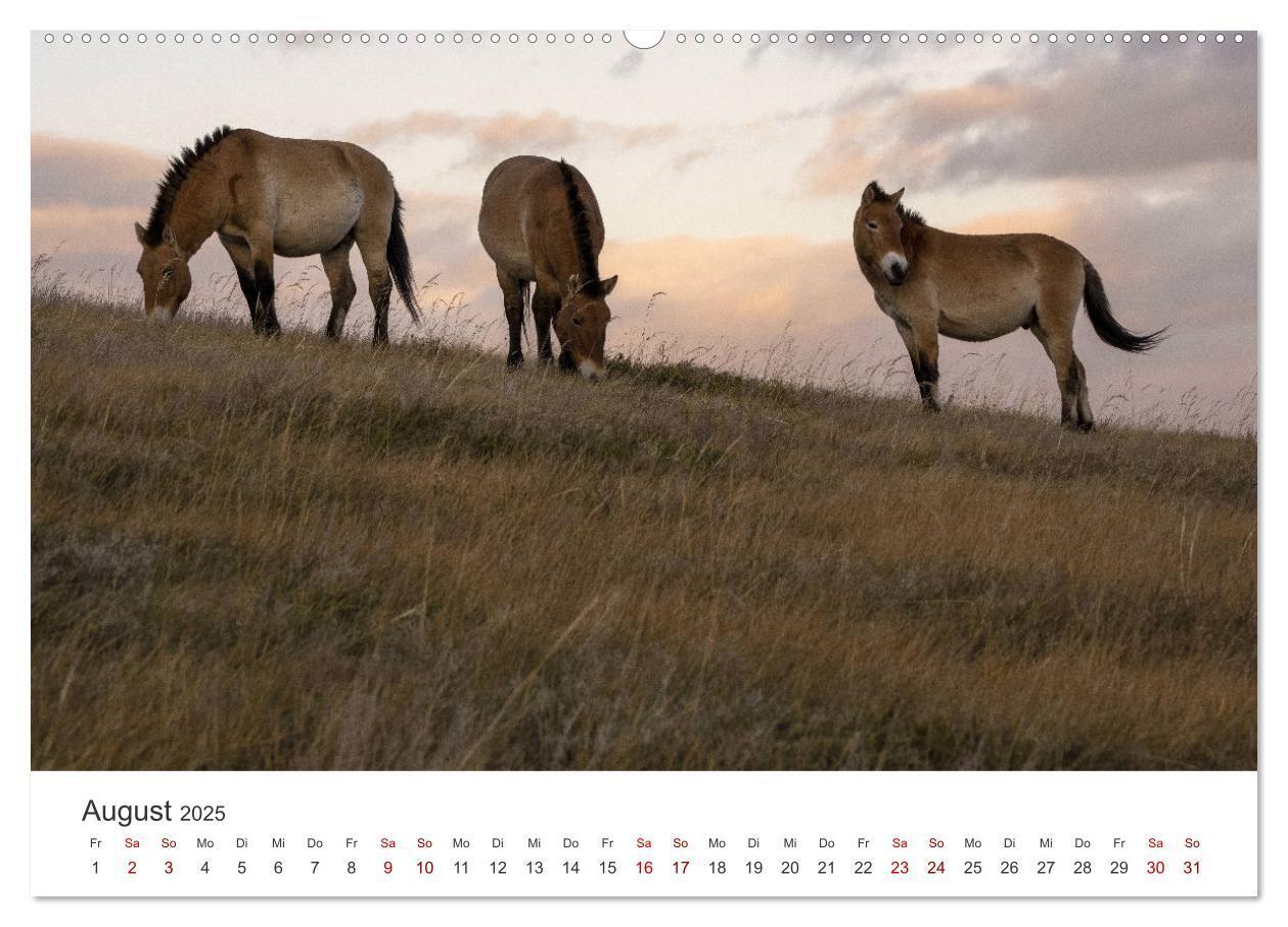 Bild: 9783383984990 | Mongolei - Bezaubernde Natur in einem wunderschönen Land....