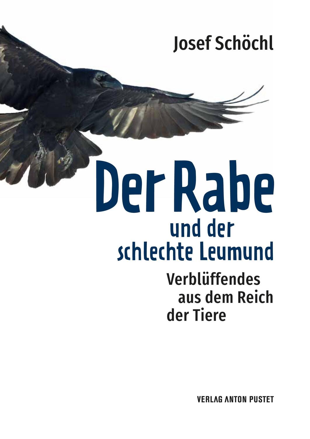 Bild: 9783702510572 | Der Rabe und der schlechte Leumund | Josef Schöchl | Buch | 160 S.