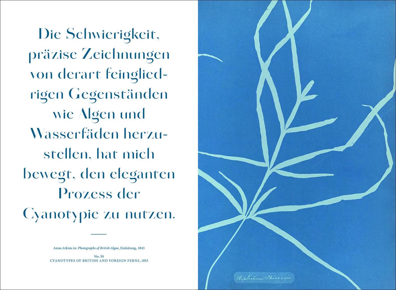 Bild: 9783943616811 | Anna Atkins | Blue Prints | Rolf Sachsse | Buch | Deutsch | 2021