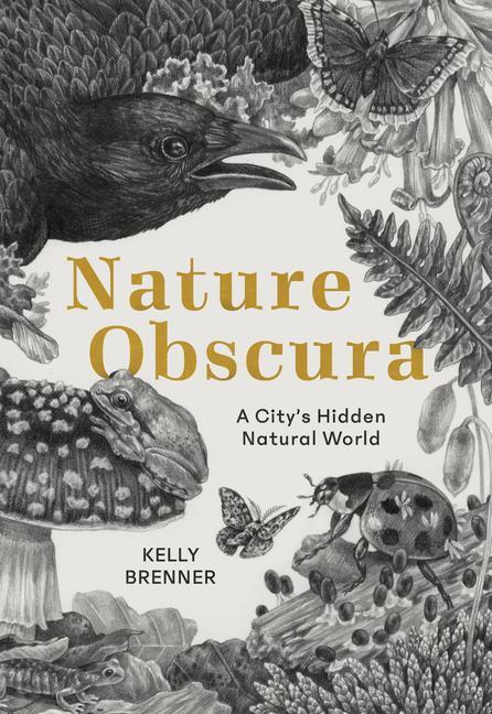 Cover: 9781680512076 | Nature Obscura: A City's Hidden Natural World | Kelly Brenner | Buch
