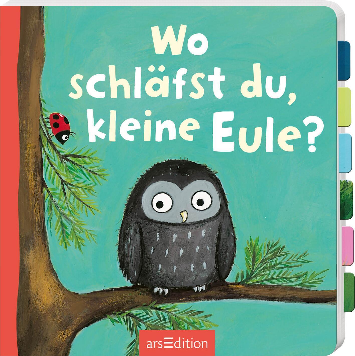 Cover: 9783845857664 | Wo schläfst du, kleine Eule? | Buch | Pappebuch mit Klappen | 14 S.