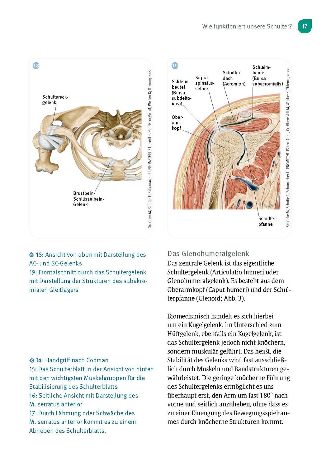 Bild: 9783432117294 | Experten-Sprechstunde Schulter | Marc Schnetzke (u. a.) | Taschenbuch