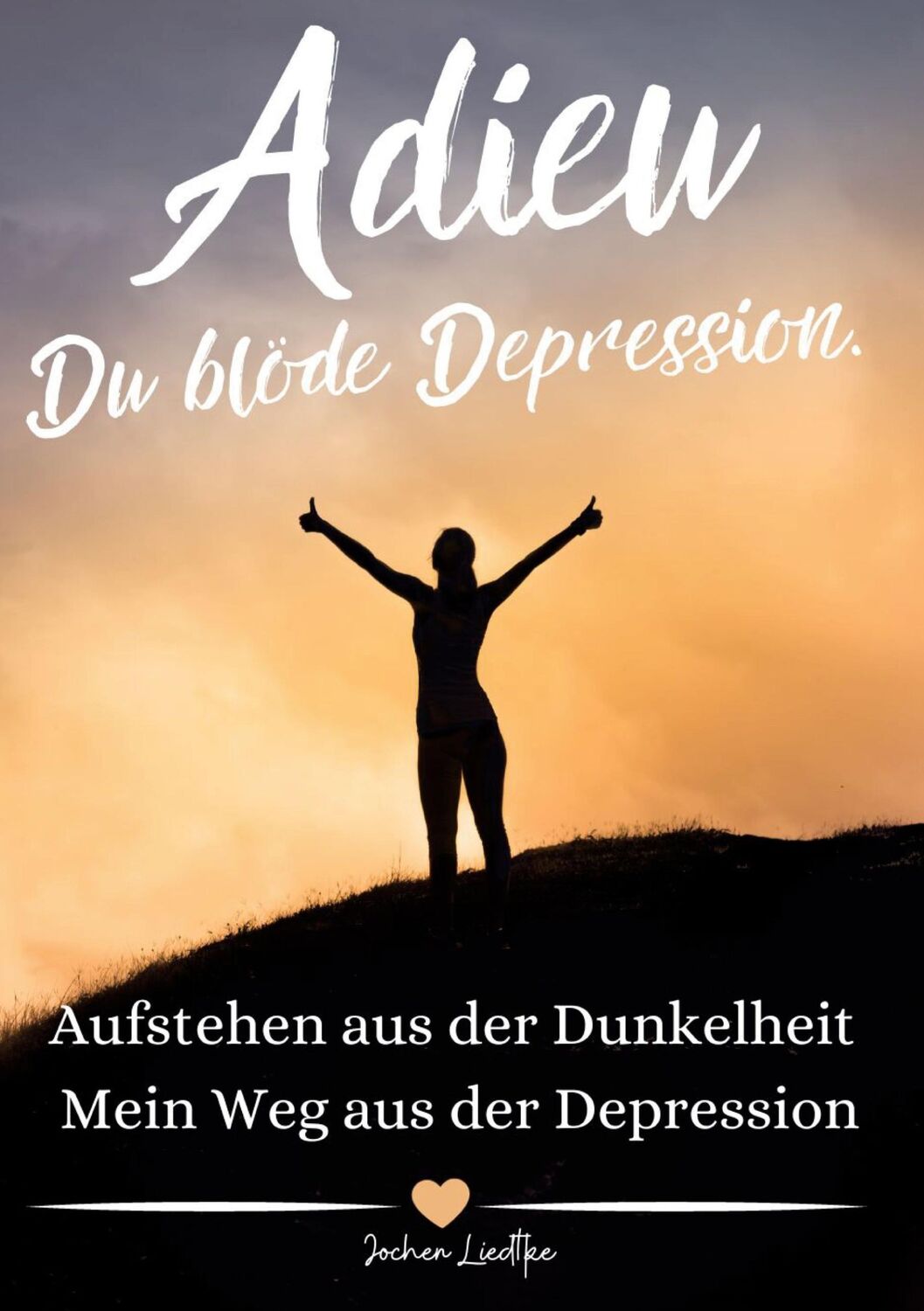 Cover: 9783758303609 | Adieu Du blöde Depression | Jo Lektide | Taschenbuch | Paperback