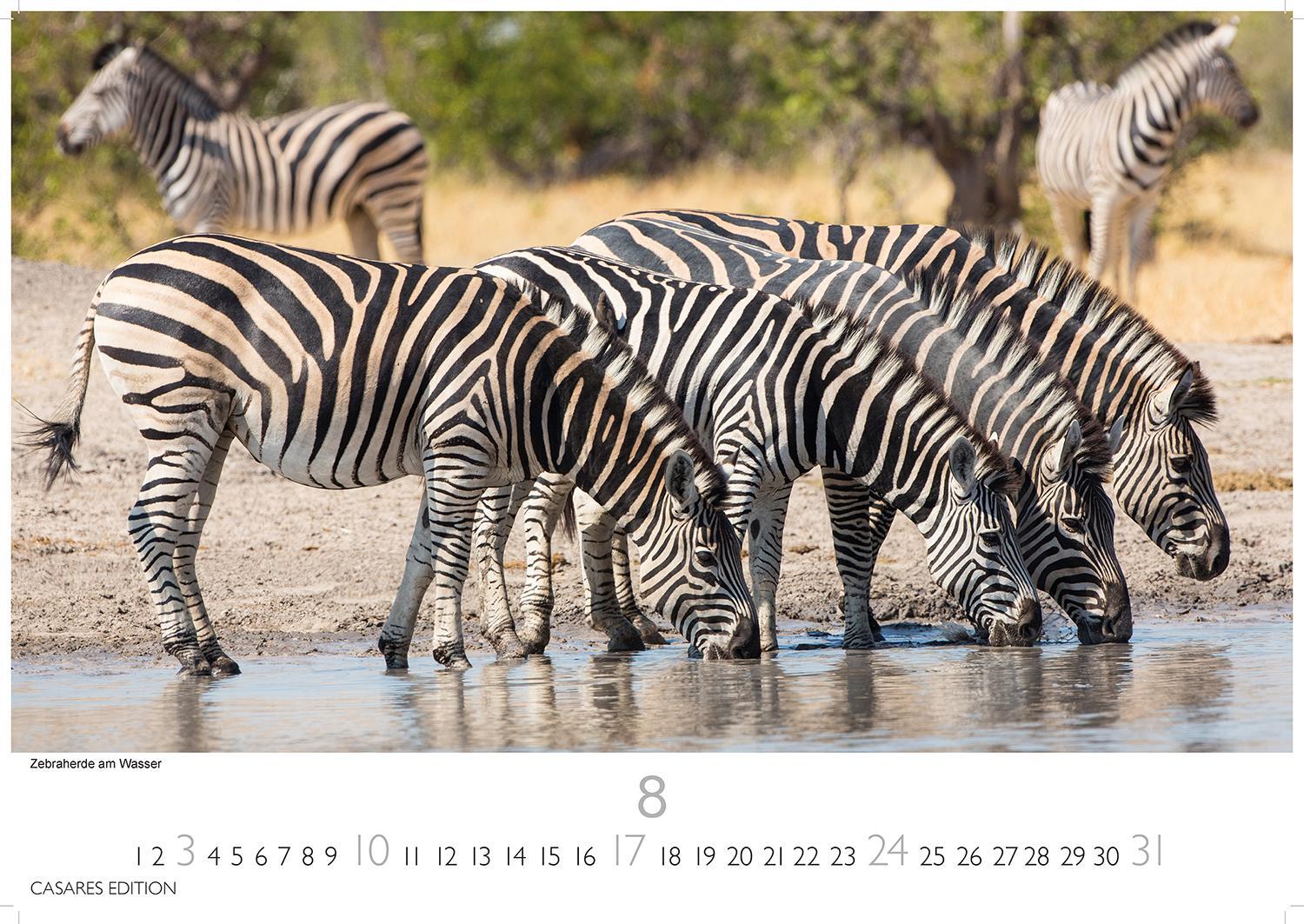 Bild: 9781835240656 | Südafrika 2025 S 24x35 cm | Kalender | 14 S. | Deutsch | 2025