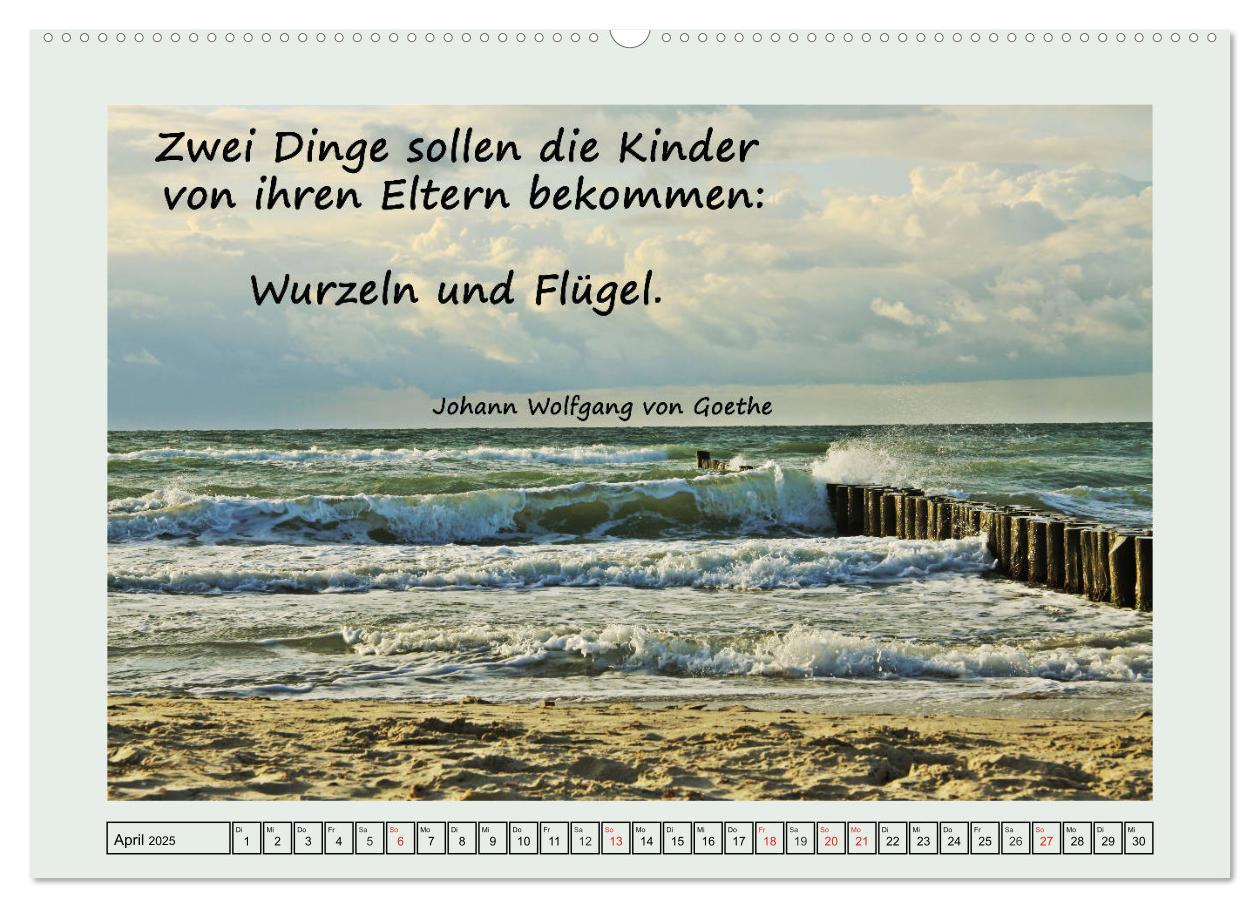 Bild: 9783435297573 | Zitate und Weisheiten (Wandkalender 2025 DIN A2 quer), CALVENDO...