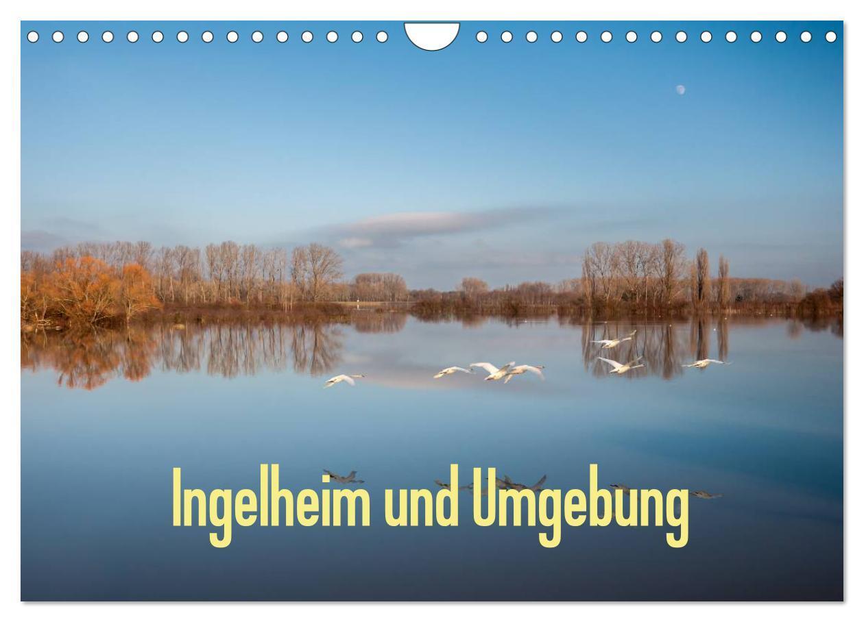 Cover: 9783383545511 | Ingelheim und Umgebung (Wandkalender 2024 DIN A4 quer), CALVENDO...