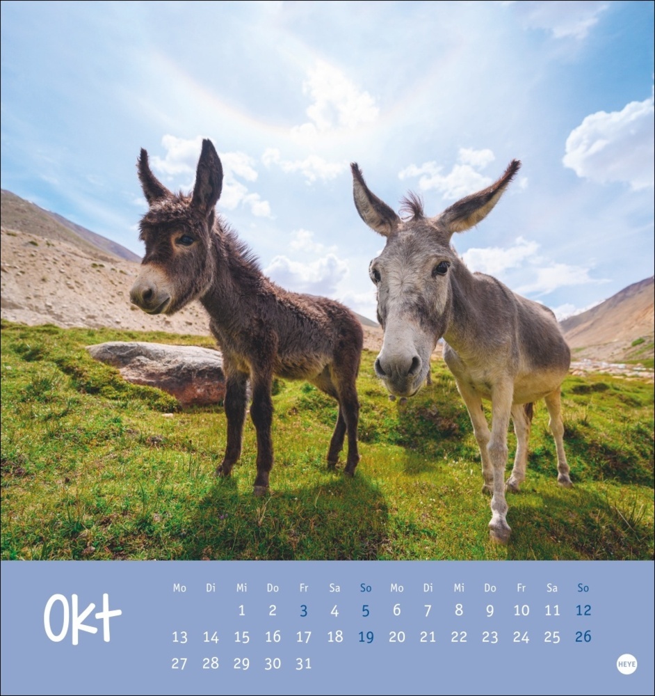 Bild: 9783756407149 | Esel Postkartenkalender 2025 - Von wegen sturer Esel | Kalender | 2025